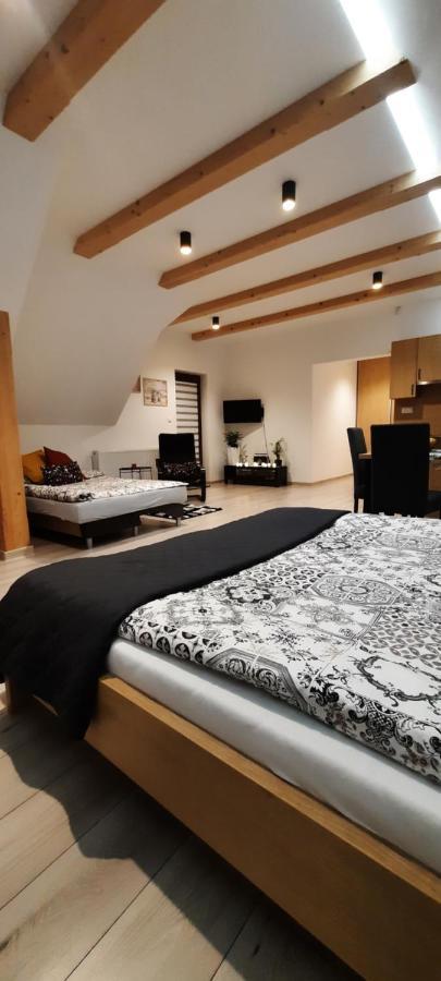 Apartamenty U Piotra Czarny Dunajec Dış mekan fotoğraf